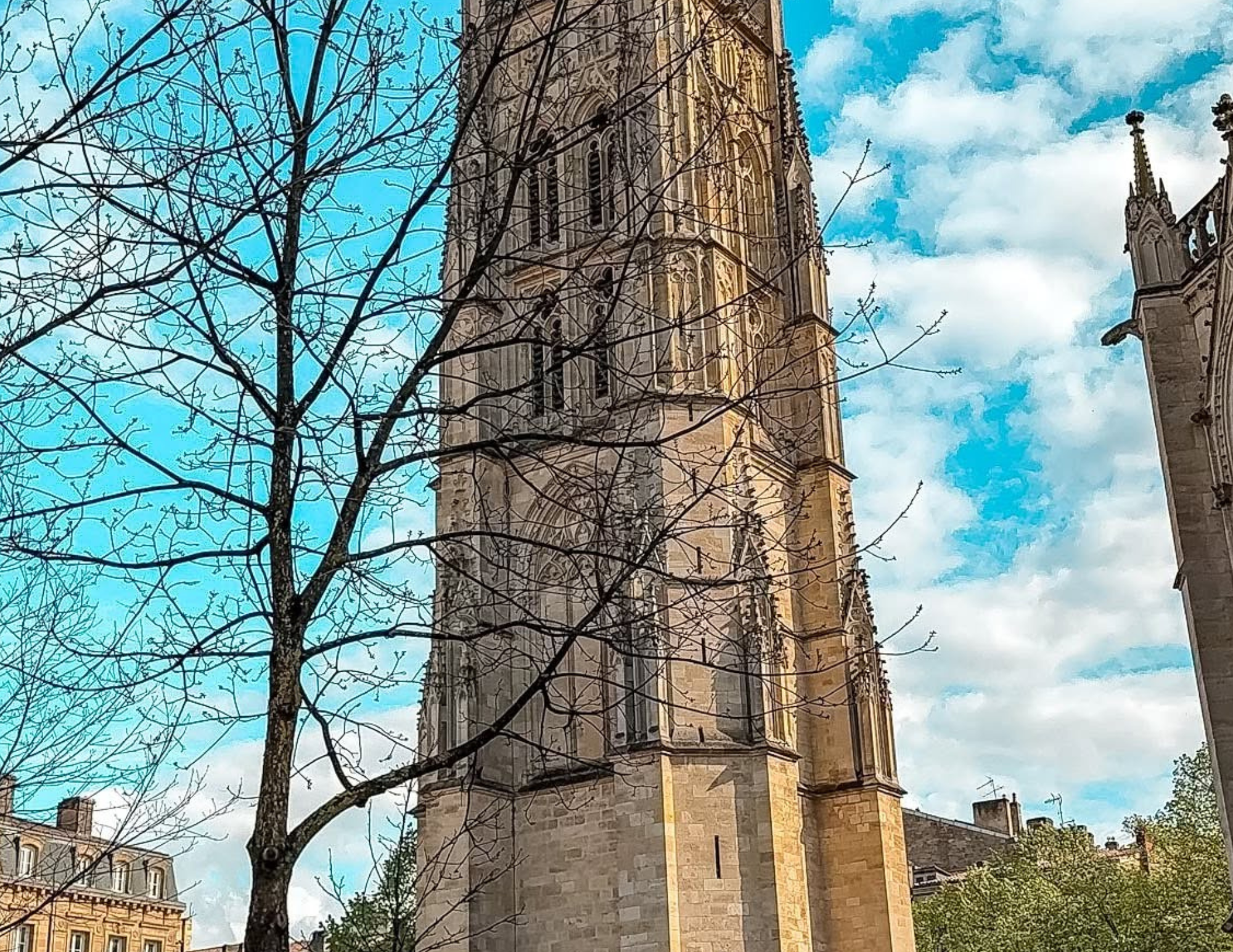 Best Things to Do in Bordeaux France (2).png